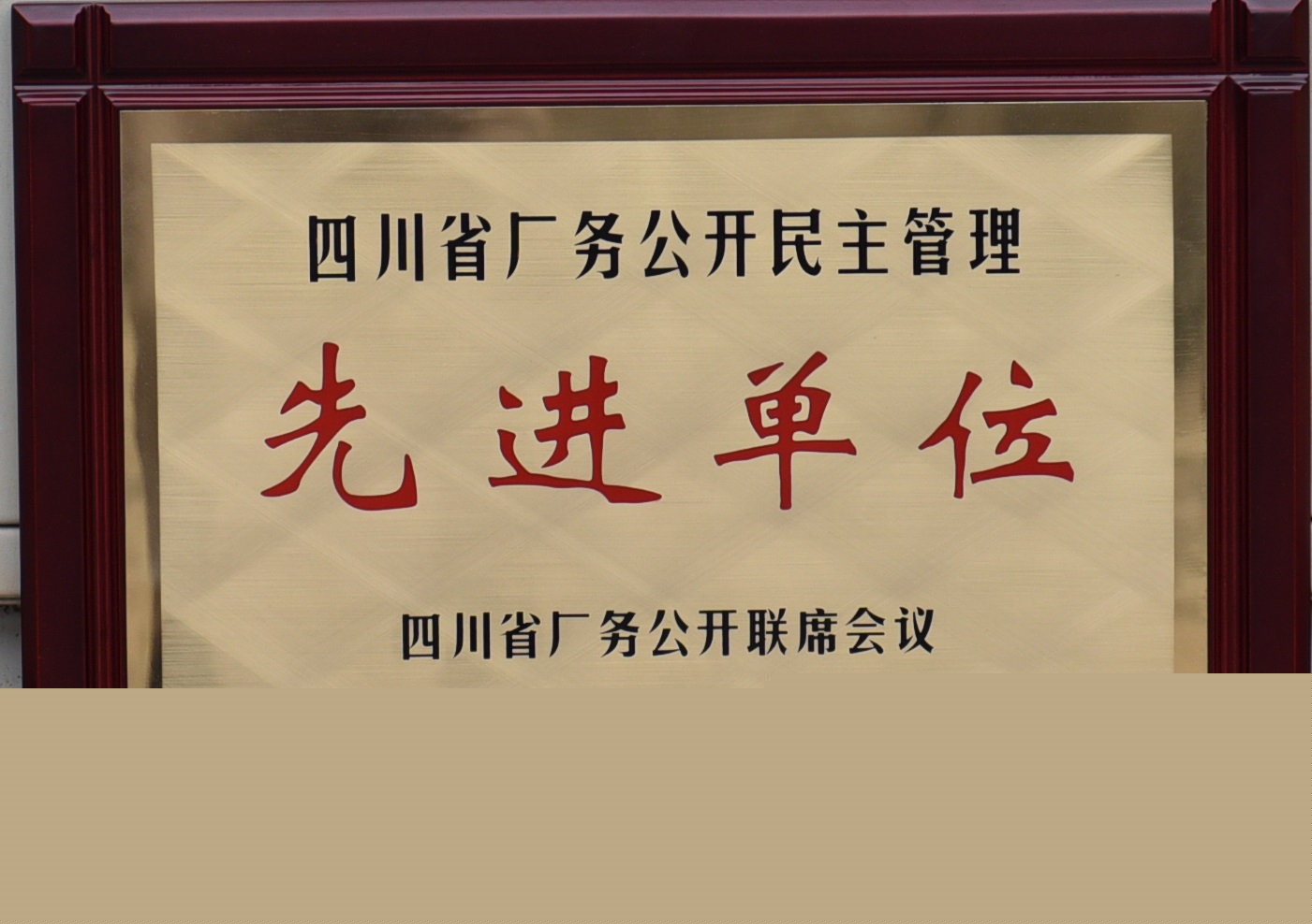 四川省廠務公開民主管理先進單位